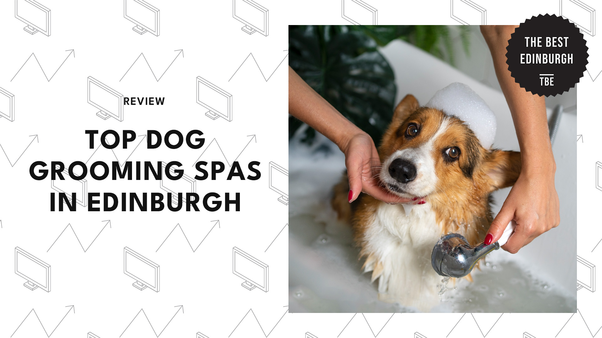 top-dog-grooming-spas-edinburgh-banner