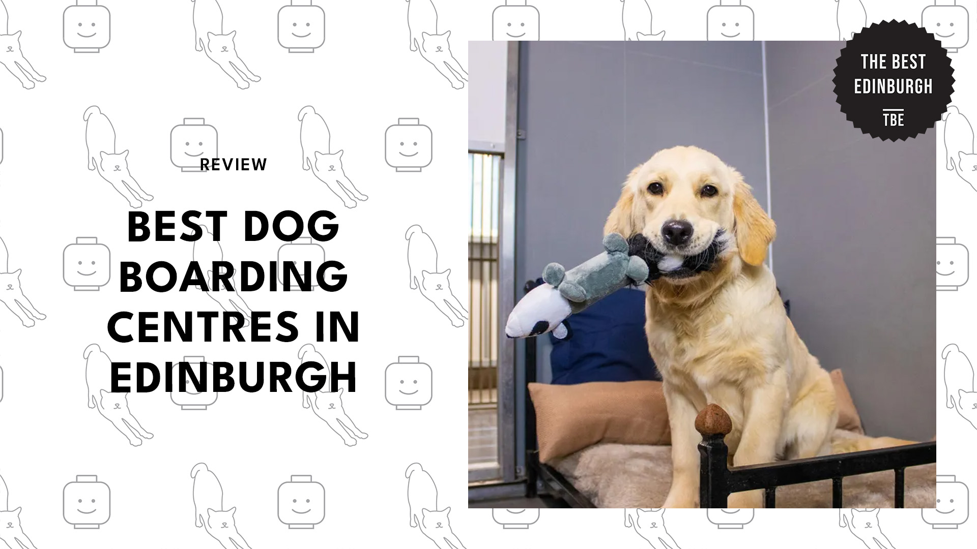 best-dog-boarding-edinburgh-banner