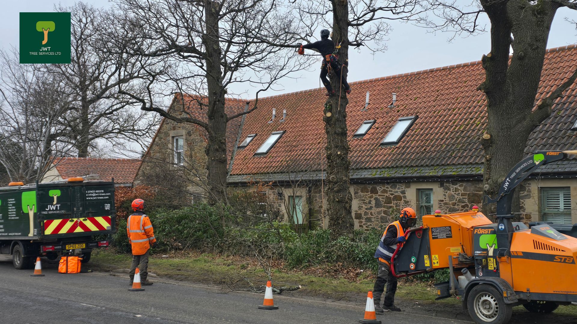 JWT Tree Services